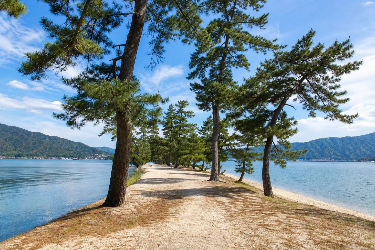 天橋立の松並木と海の風景。京都府北部・丹後エリアのリゾートバイトの職場環境イメージ
