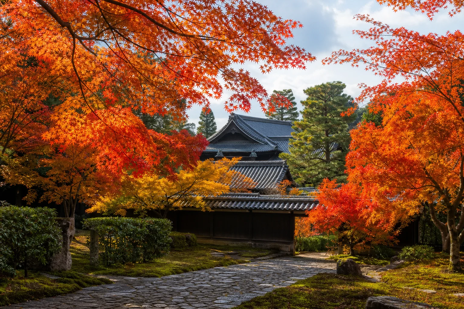 秋の京都・紅葉した木々と旅館の屋根が見える風景。11月の紅葉シーズンは観光のピーク