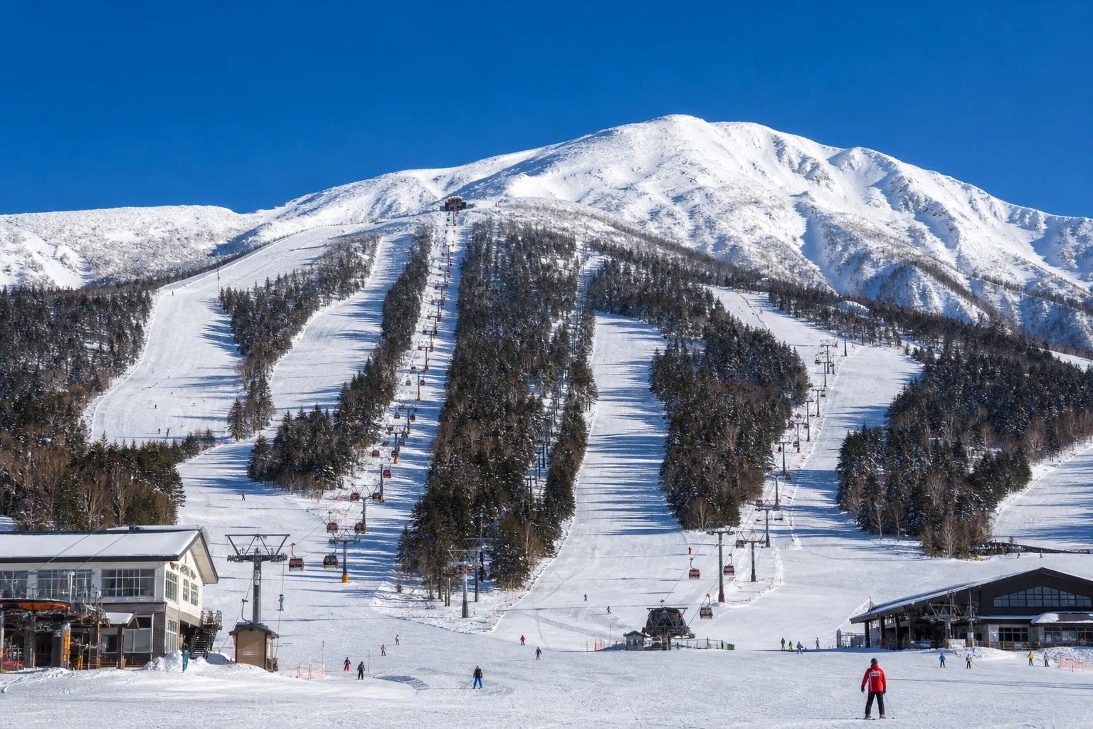 志賀高原スキー場の広大なゲレンデ。複数のコースが山の斜面に広がり、スキーリフトが稼働している冬の晴れた日の風景