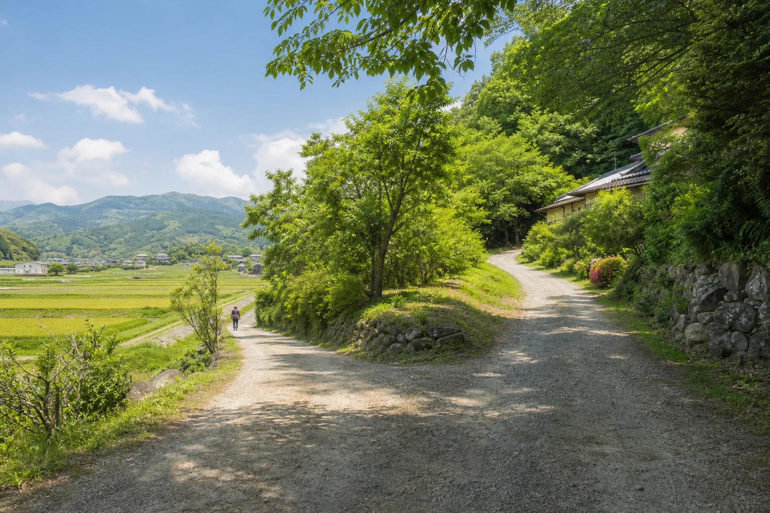 2つの選択肢を示す分岐路のイメージ。穏やかな田舎の風景
